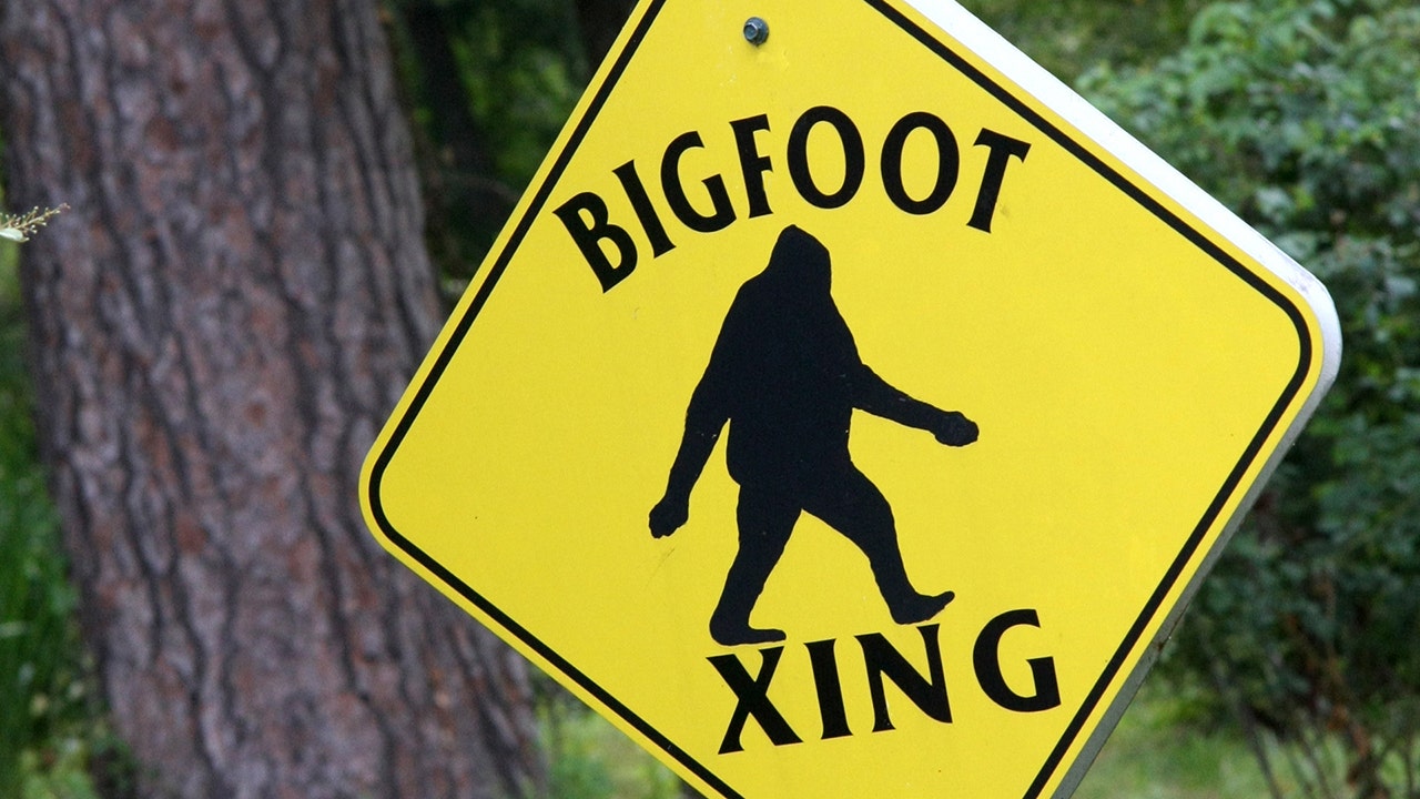 Sasquatch watch: Bigfoot